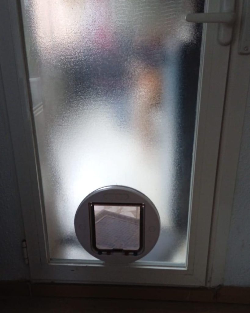 Inicio 3 Diseño sin título (6)