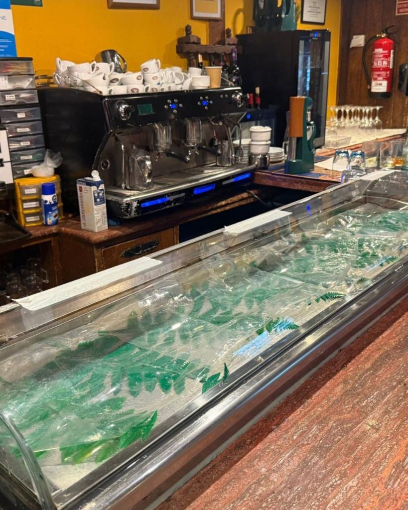 Inicio 2 Diseño sin título (7)